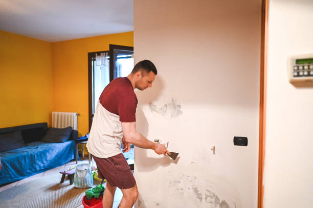 Best Same-Day Mold Removal  in San Felipe Pueblo, NM